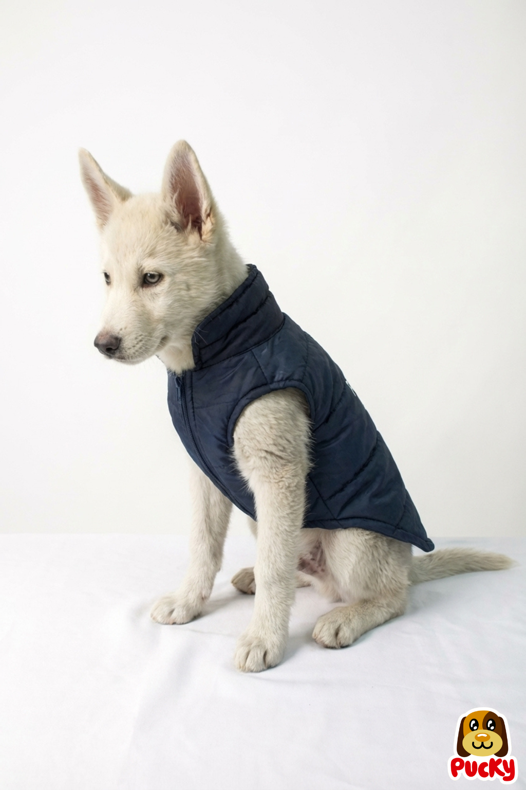 Chamarra de Police Dog