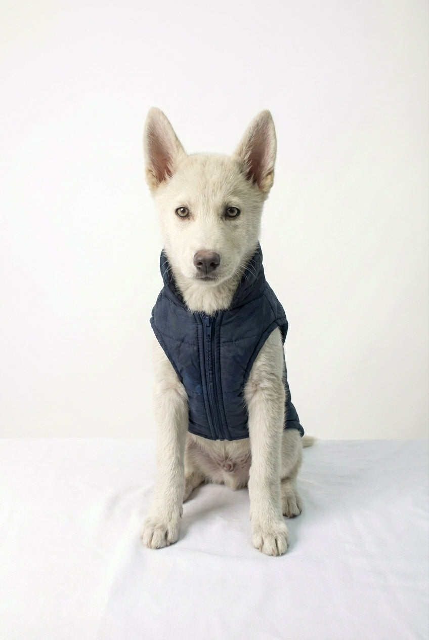 Chamarra de Police Dog